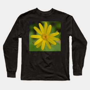 Arnica Long Sleeve T-Shirt